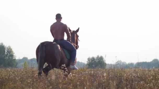 Starker Mann mit nacktem Oberkörper, der im Sommer auf dem Feld reitet — Stockvideo