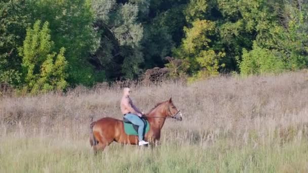 Ein Mann von kräftiger Statur mit nacktem Oberkörper geht in der Natur auf einem Pferd — Stockvideo