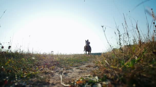 Атлетик на лошадях ходит по полю, замедленная съемка — стоковое видео