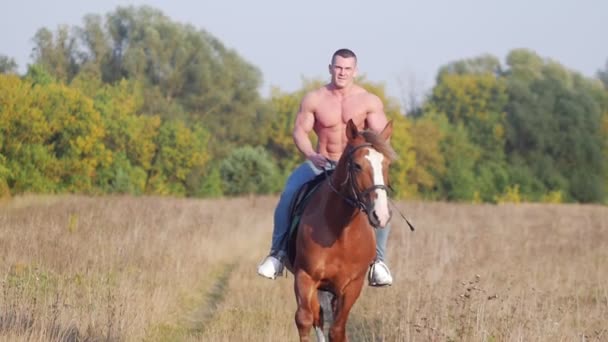 Homem atlético com um corpo bombeado monta um cavalo através do campo em direção à câmera — Vídeo de Stock