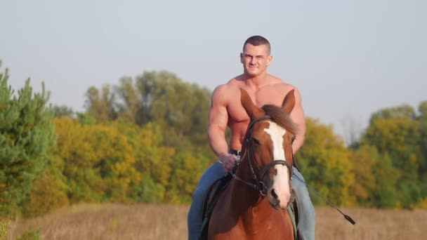 Hombre atlético fuerte con manos poderosas montando un caballo en el campo en el verano — Vídeo de stock