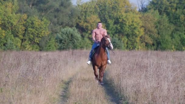 Человек с мощным телосложением с обнаженным туловищем скачет на лошади из леса по полю — стоковое видео