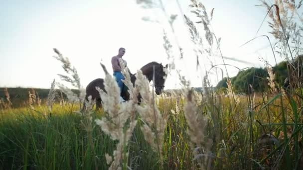 Hombre fuerte sentado en un caballo en medio de la hierba y las plantas en el verano — Vídeos de Stock