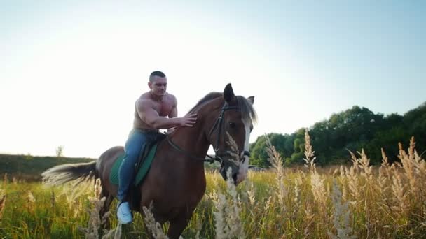 Strong athletic man with a bare torso sitting on a horse and stroking the horse in the middle of the field in the summer — Stock Video