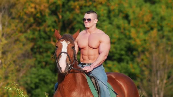 Muscular healthy man with naked torso in sunglasses sitting on a horse