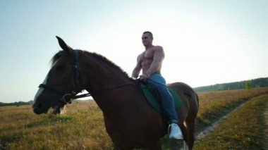 Genç çekici adam güçlü pazı ile yaz aylarında alanın ortasında güzel bir ata biniyor
