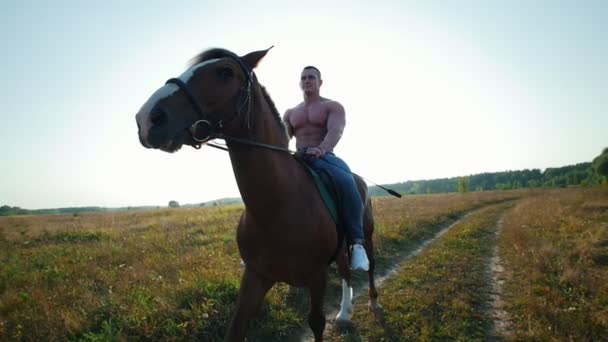 Jovem poderoso e forte montando um cavalo forte no campo no verão — Vídeo de Stock