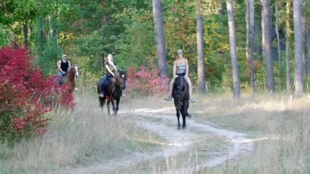 Twee jonge aantrekkelijke meisjes en een jonge sterke man rit te paard langs het wandelpad in het bos — Stockvideo