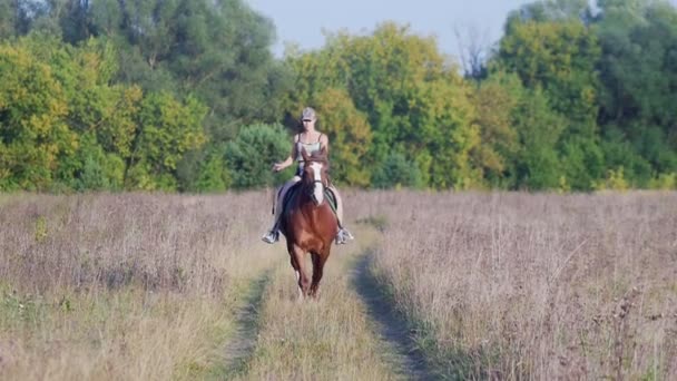 Jong meisje jockey in een baseballcap berijden van een paard op het veld langs het bos — Stockvideo
