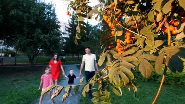 Joven familia feliz caminando en el Parque. Vienen hacia el árbol. Papá la levanta en sus brazos y la lleva a las ramas, y mi madre cría un hijo. . — Vídeos de Stock