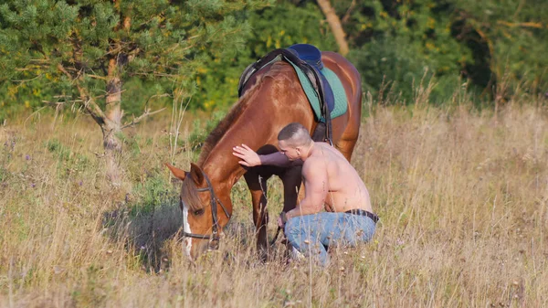 男性健美运动员坐在他的臀部旁边的马和抚摸马的领域 — 图库照片