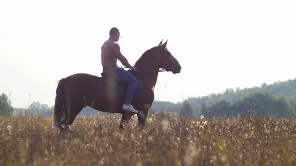 Um homem com um físico poderoso com um tronco nu caminha sobre um cavalo na natureza — Fotografia de Stock