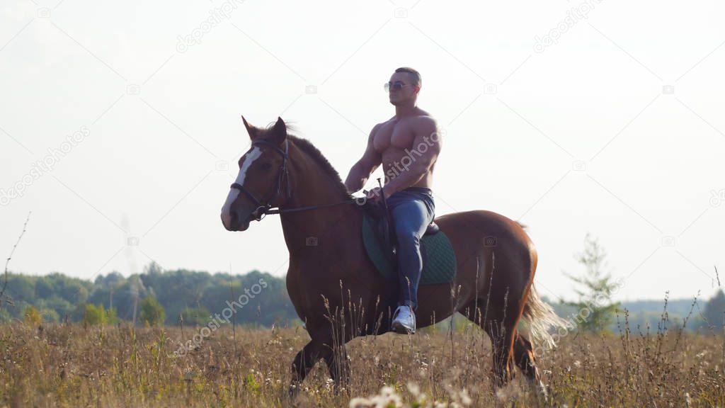 Attractive male bodybuilder riding a horse riding on the field in summer