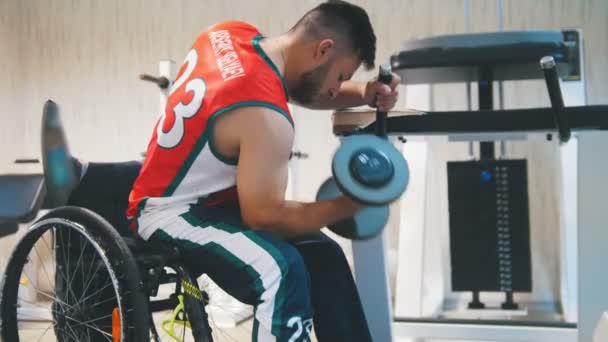 Schöner behinderter Mann im Rollstuhl trainiert in einem Fitnessstudio mit Gewichten. — Stockvideo