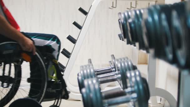 Discapacitados en una silla de ruedas se detiene y toma el peso en el gimnasio durante el entrenamiento . — Vídeos de Stock