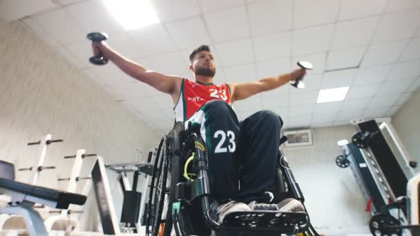 Jóképű fogyatékkal élő ember egy tolószékben emeli a karját, a súlyzó, a tornateremben edzés közben. — Stock videók