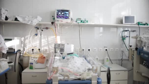 Câmaras para bebês prematuros em maternidade — Vídeo de Stock