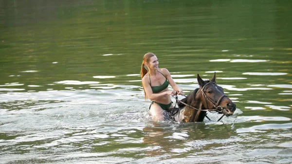 Коричневый портрет лошади на фоне реки — стоковое фото