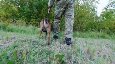 Eğitmen ve düz devam onun eğitimli köpek, kamera onları takip eder