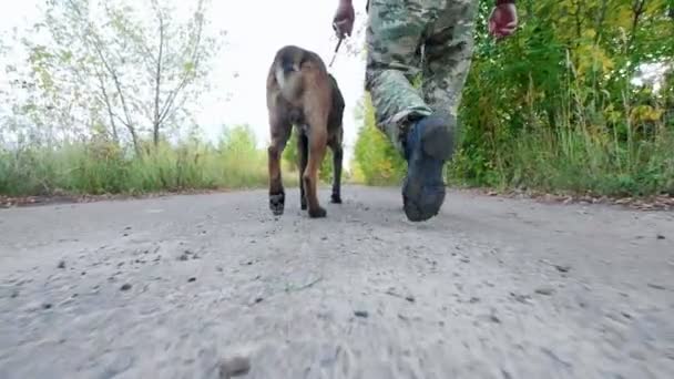 Trainer und sein dressierter Hund gehen geradeaus auf die Straße, die Kamera folgt ihnen — Stockvideo