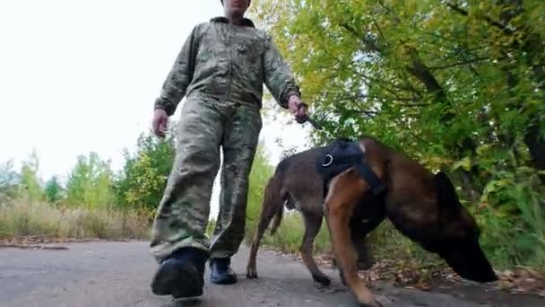 Eğitmen ve eğitimli köpeği kameraya doğru yolda düz gidiş — Stok video