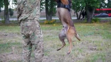 Adam köpeğini atlama komutu Park yapmak için trenler