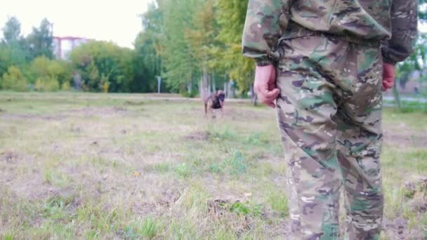 Opgeleide herdershond loopt naar zijn trainer. Close-up — Stockvideo