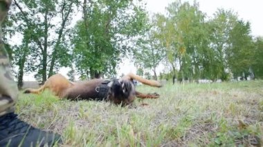 Adam köpeğini takla komutu gerçekleştirmek için trenler