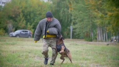 Koruyucu elbiseli adam saldırmaya çoban köpeği antrenörler. Ağır çekim