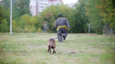 Koruyucu elbiseli adam saldırmaya çoban köpeği antrenörler. Ağır çekimde çalıştıran