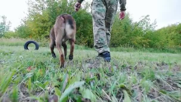 Pemiliknya memimpin anjing dengan tali di taman. — Stok Video