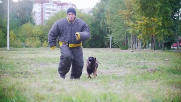 穿着防护服的男子教练他的牧羊犬攻击。运行到照相机 — 图库视频影像