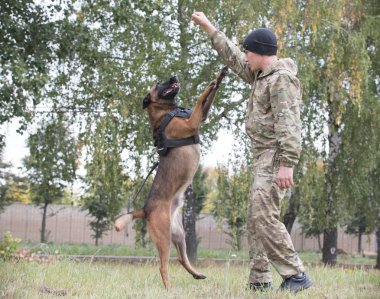 Büyük eğitimli Alman çoban köpek eğitmeni komutu tarafından atlar