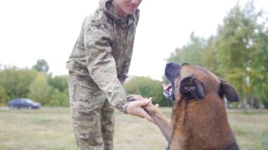 Çoban köpeği efendisinin parkta paws