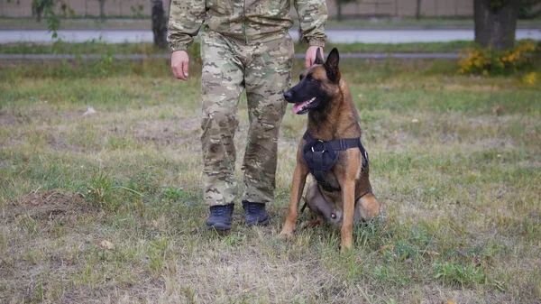 A trainer and his trained german shepherd dog