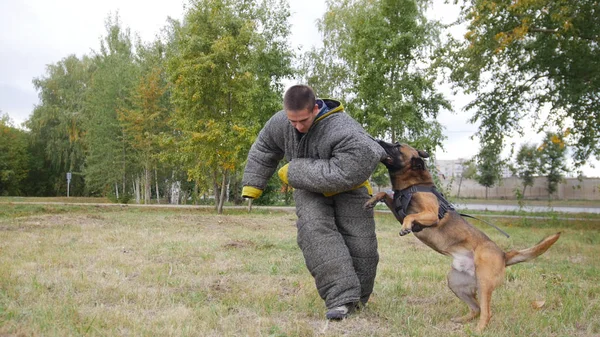 Ένα εκπαιδευμένο Γερμανικός Ποιμενικός σκύλος δαγκώνει στον ένα ώμο ο άνθρωπος σε ένα κοστούμι προστασίας — Φωτογραφία Αρχείου