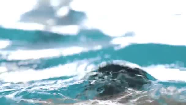 Disabled man swims in a swimming pool. The butterfly stroke. — Stock Video