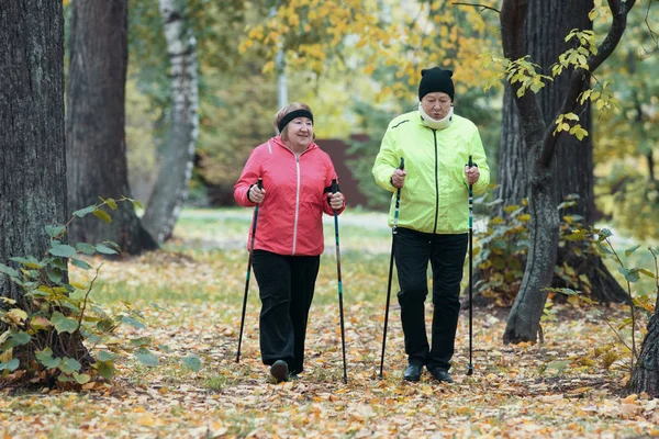Two elderly women are involved in Scandinavian walking in the park in off-road