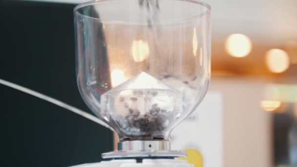 Barista enche um balão com grãos de café torrados — Vídeo de Stock