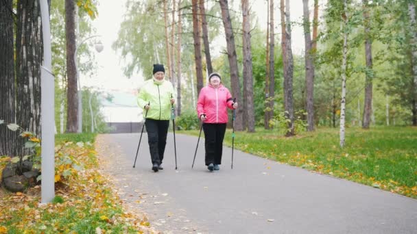 Two elderly women are doing Scandinavian walking in the park. Autumn — Stock Video