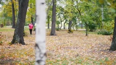 İki yaşlı kadın İskandinav parkta yürüyüş yapıyoruz. Sonbahar sezon