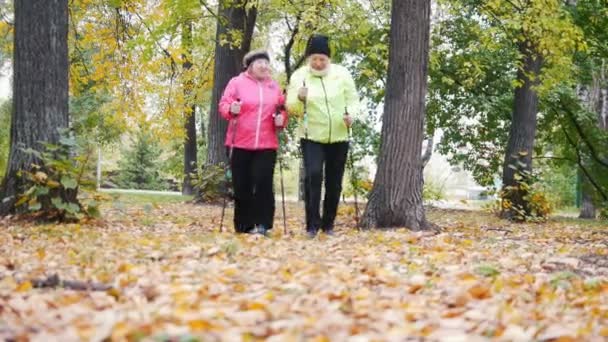 Dos ancianas están haciendo caminatas escandinavas en el parque. Vista desde el suelo — Vídeos de Stock