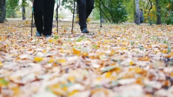 Две пожилые женщины занимаются скандинавской прогулкой в парке. Ноги. Осенний сезон — стоковое видео