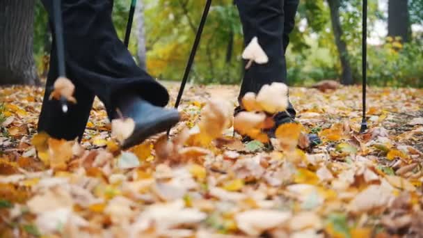 Två äldre kvinnor gör skandinaviska promenader i parken. Fötter. Hösten — Stockvideo