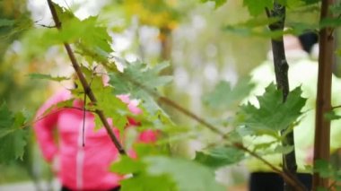 Yeşil odak, odak dışı jimnastik yaparken olgun kadın bırakır.