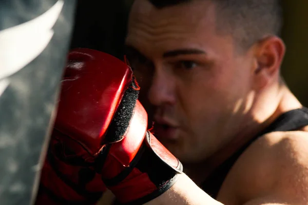 Muscular culturista poner en guantes de entrenamiento vencer a un saco de boxeo — Foto de Stock