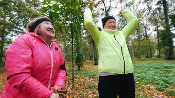 Femme mûre jetant des feuilles en l'air dans un parc d'automne. À mi-coup — Video