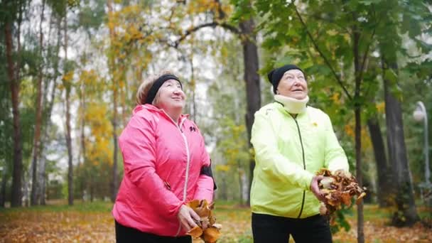 Olgun kadın bir sonbahar parkında yaprakları içine hava atma. Gülümseyen — Stok video