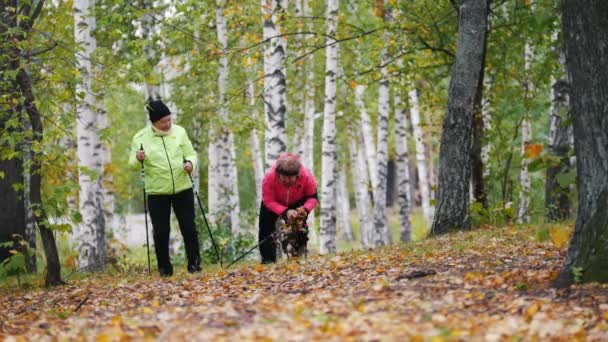 Donne mature gettano foglie l'una sull'altra durante una passeggiata scandinava — Video Stock