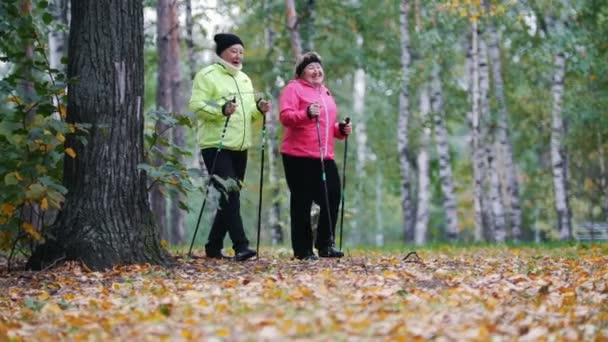 Donne anziane che camminano in un parco autunnale durante una passeggiata scandinava. Angolo laterale — Video Stock